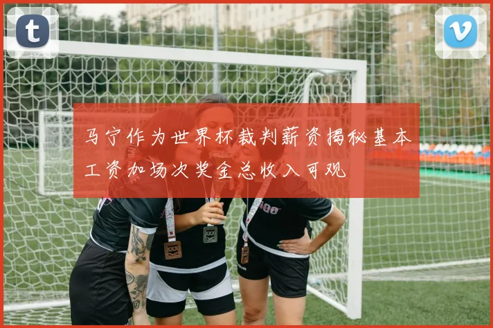 马宁作为世界杯裁判薪资揭秘基本工资加场次奖金总收入可观