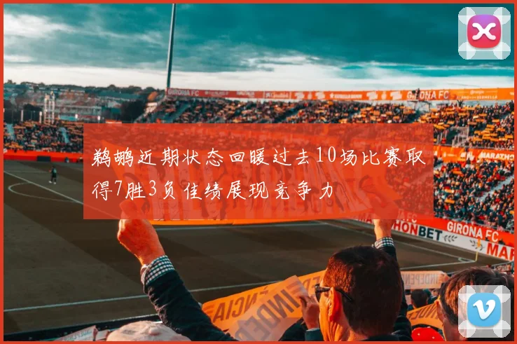 鹈鹕近期状态回暖过去10场比赛取得7胜3负佳绩展现竞争力