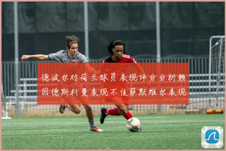 德波尔对荷兰球员表现评分分析赖因德斯科曼表现不佳萨默维尔表现出色